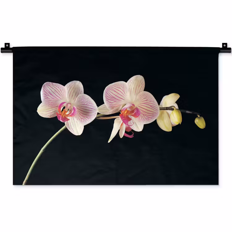 Orchidee - Bloemen - Zwart - Roze - Knoppen Wandkleed katoen klein -zz3d