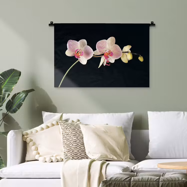 Orchidee - Bloemen - Zwart - Roze - Knoppen Wandkleed katoen klein -sfeer7