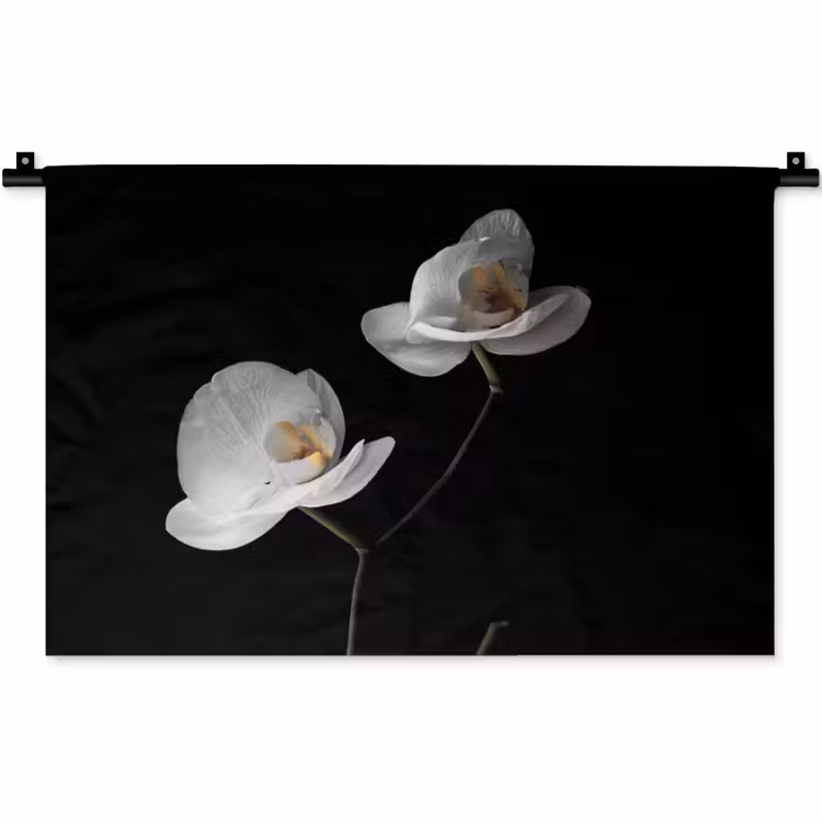 Orchidee - Bloemen - Zwart - Wit - Stilleven Wandkleed katoen klein -zz3d