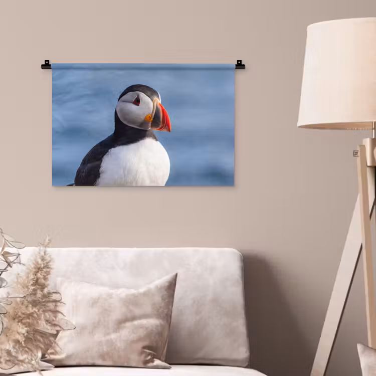 Papegaaiduiker - Portret - Natuur Wandkleed katoen klein -sfeer4