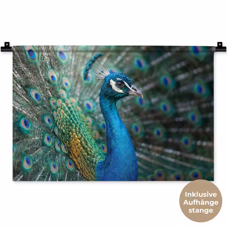 Pauw - Veren - Blauw Wandkleed katoen klein -t3d_DE