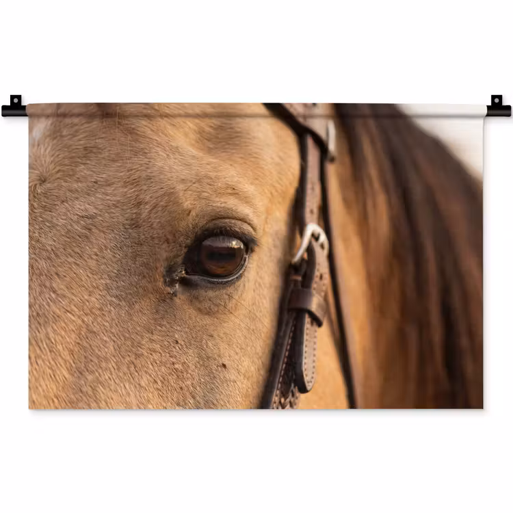 Paard - Oog - Bruin Wandkleed katoen klein -zz3d