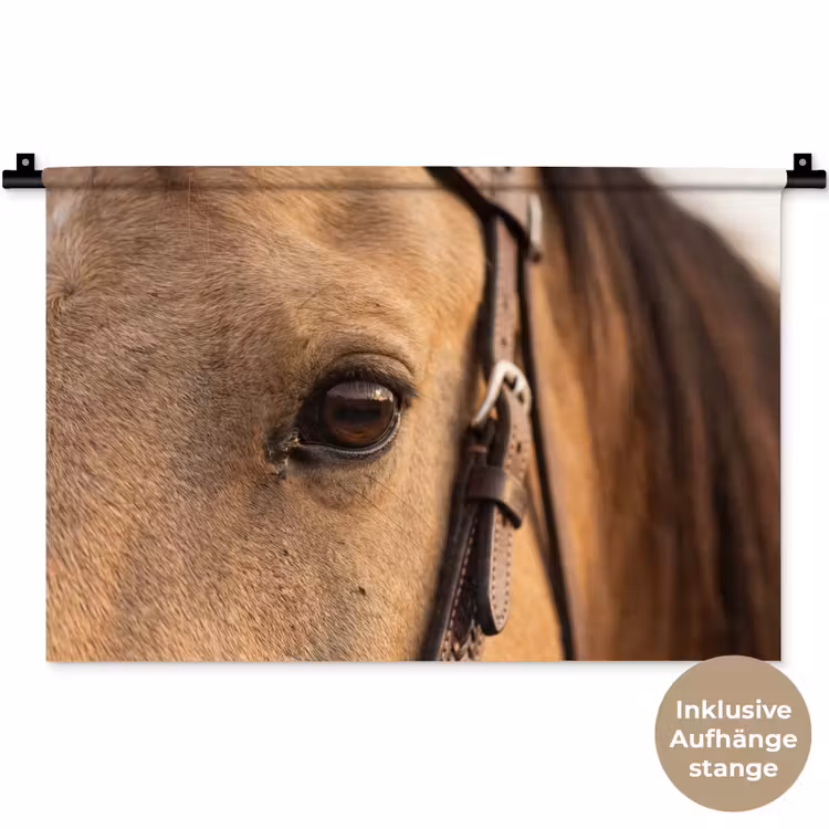 Paard - Oog - Bruin Wandkleed katoen klein -t3d_DE
