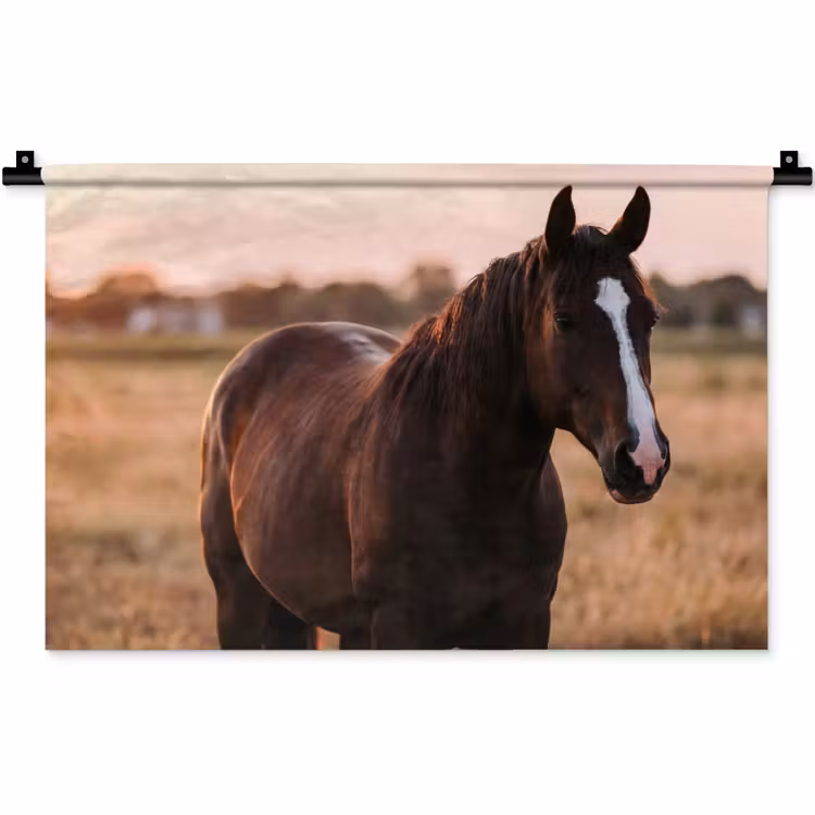 Paard - Zonsondergang - Bruin Wandkleed katoen klein -zz3d