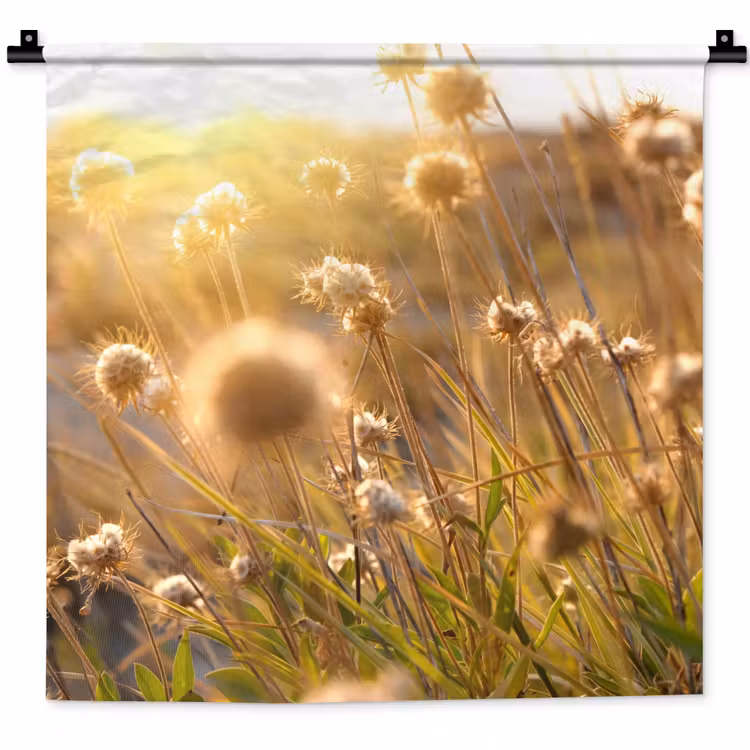 Planten - Natuur - Bloemen - Zon - Horizon Wandkleed katoen klein -zz3d