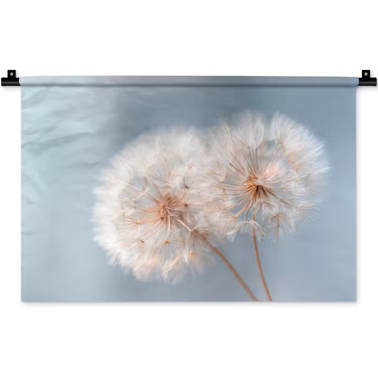 Paardenbloemen - Pluisjes - Wit Wandkleed katoen klein -zz3d