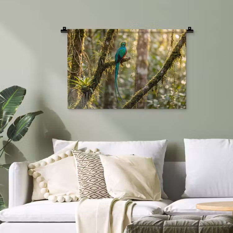 Quetzal - Jungle - Natuur - Groen Wandkleed katoen klein -sfeer7