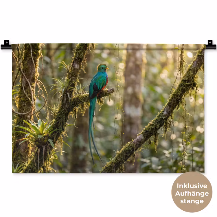 Quetzal - Jungle - Natuur - Groen Wandkleed katoen klein -t3d_DE