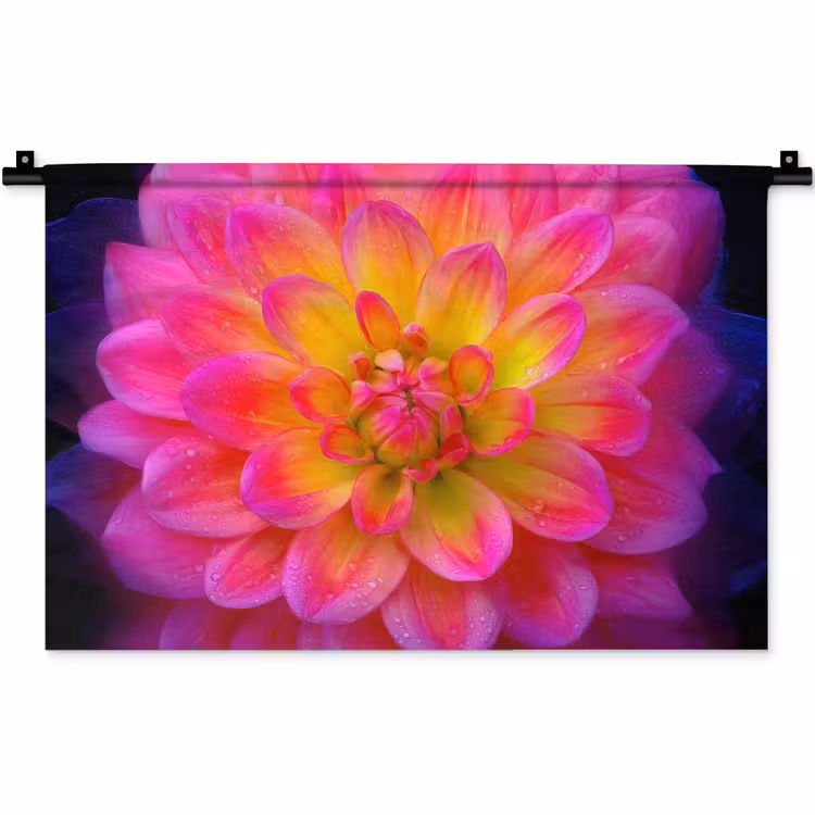 Roze - Dahlia - Kleurrijk Wandkleed katoen klein -zz3d
