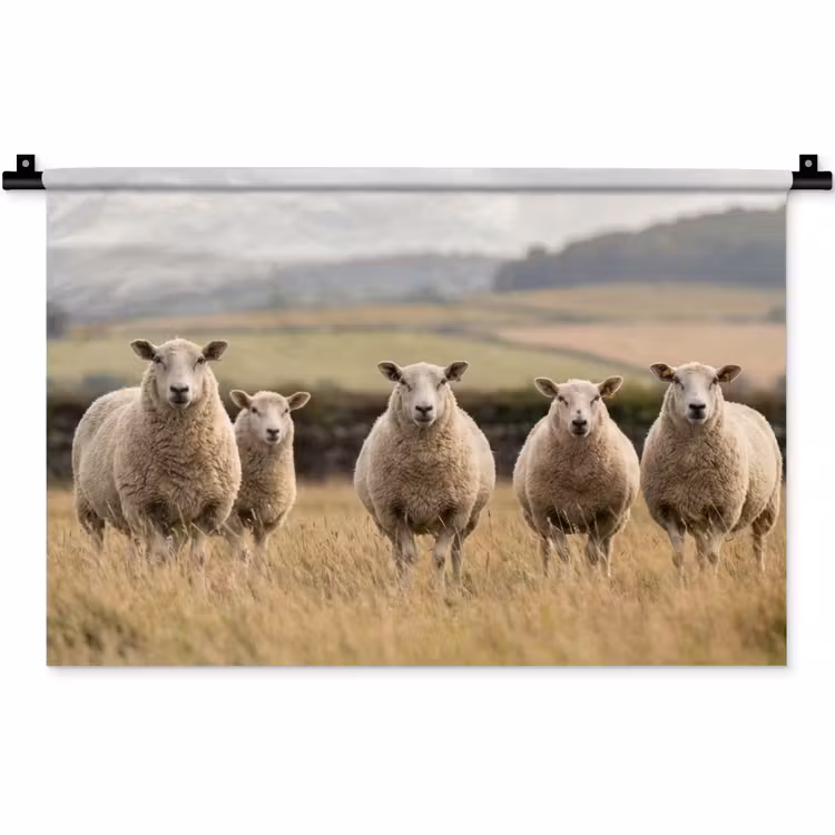 Schapen - Weidenlandschap - Heuvels Wandkleed katoen klein -zz3d