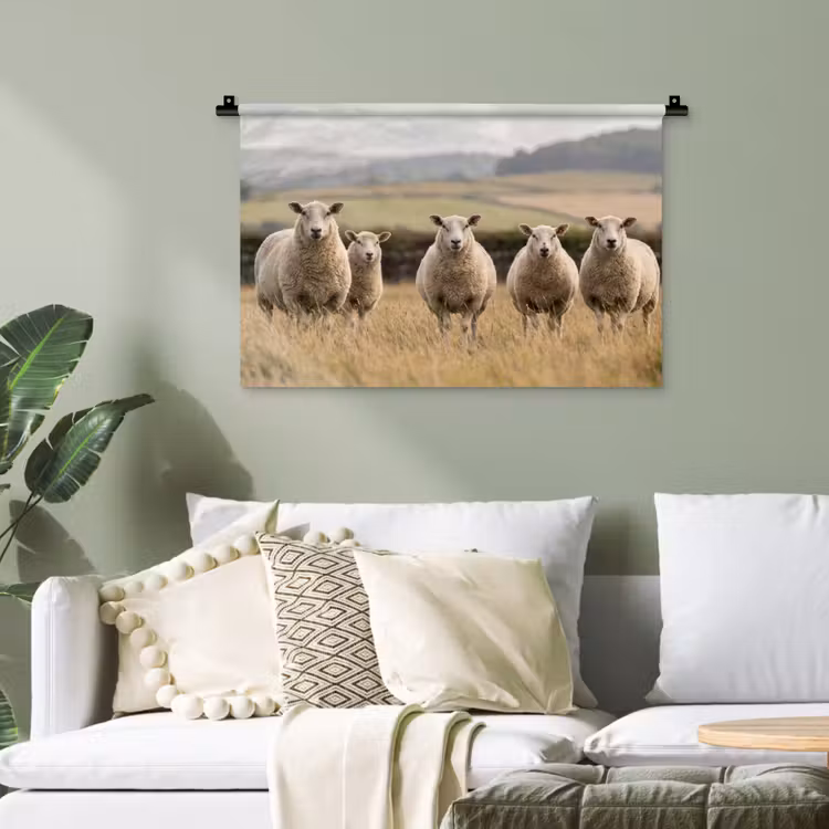 Schapen - Weidenlandschap - Heuvels Wandkleed katoen klein -sfeer7