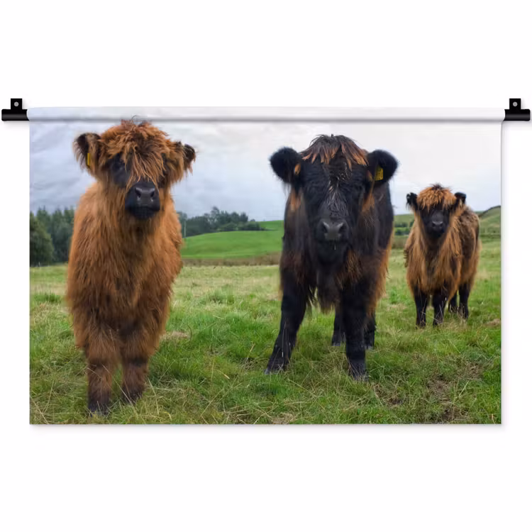 Schotse hooglander - Koeien - Natuur - Groen - Gras Wandkleed katoen klein -zz3d