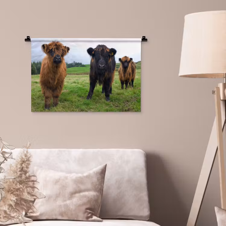 Schotse hooglander - Koeien - Natuur - Groen - Gras Wandkleed katoen klein -sfeer4