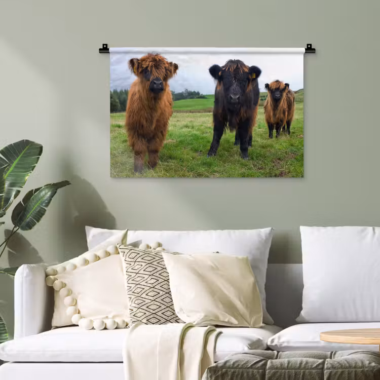 Schotse hooglander - Koeien - Natuur - Groen - Gras Wandkleed katoen klein -sfeer7