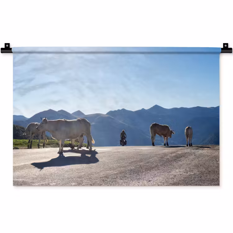 Schotse hooglander - Licht - Berg - Natuur Wandkleed katoen klein -zz3d