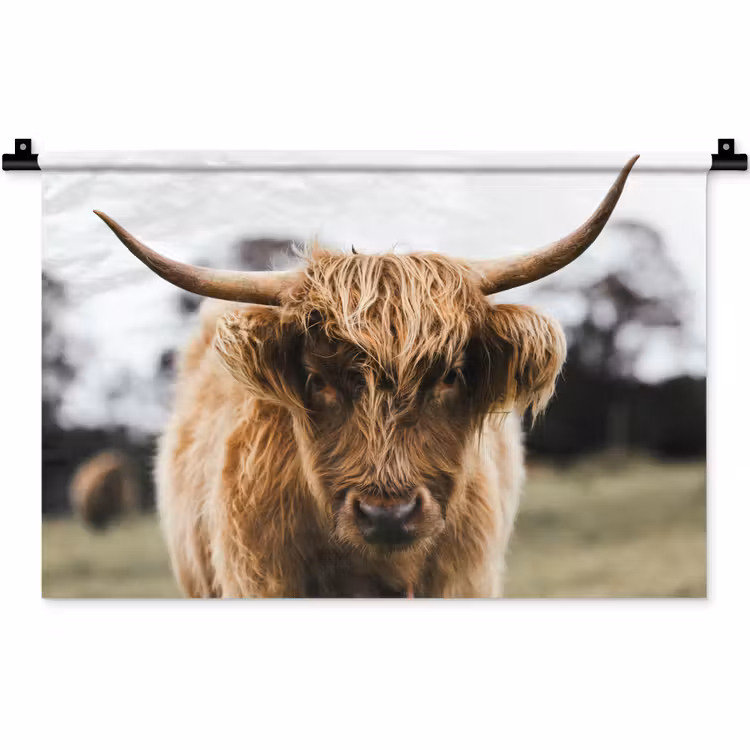 Schotse Hooglander - Koe - Gras - Dieren - Natuur Wandkleed katoen klein -zz3d