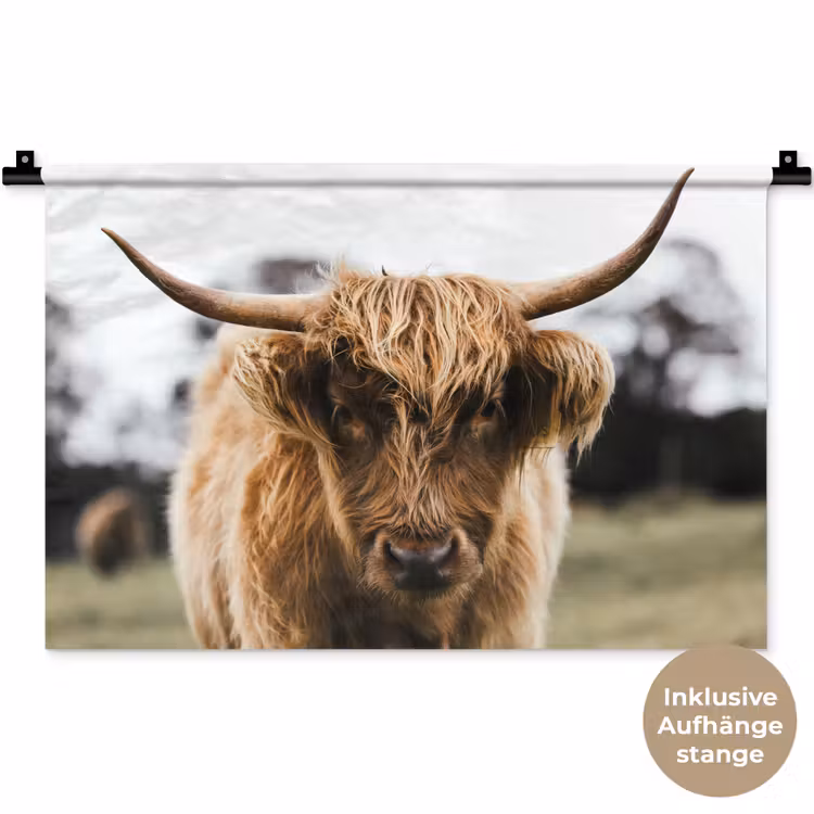 Schotse Hooglander - Koe - Gras - Dieren - Natuur Wandkleed katoen klein -t3d_DE