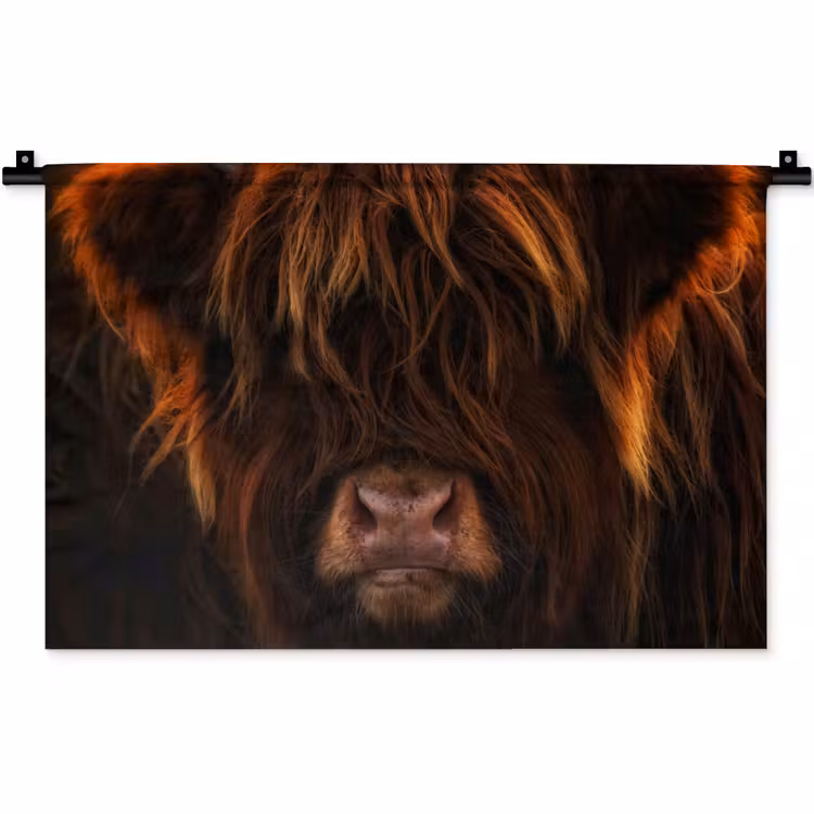 Schotse Hooglander - Koe - Portret - Dieren Wandkleed katoen klein -zz3d