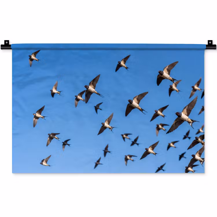 Zwaluwen - Vliegen - Blauw Wandkleed katoen klein -zz3d