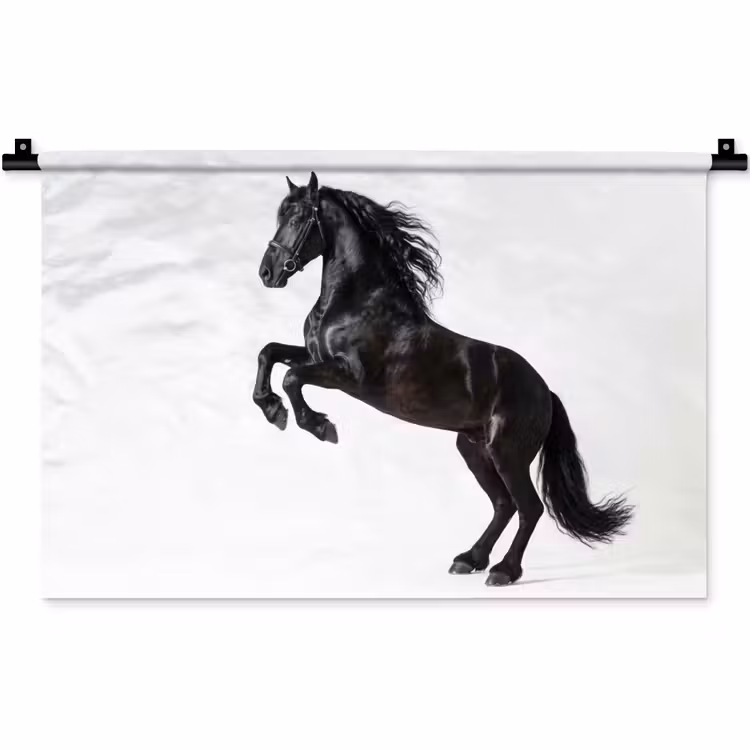 Zwart - Paard - Portret Wandkleed katoen klein -zz3d