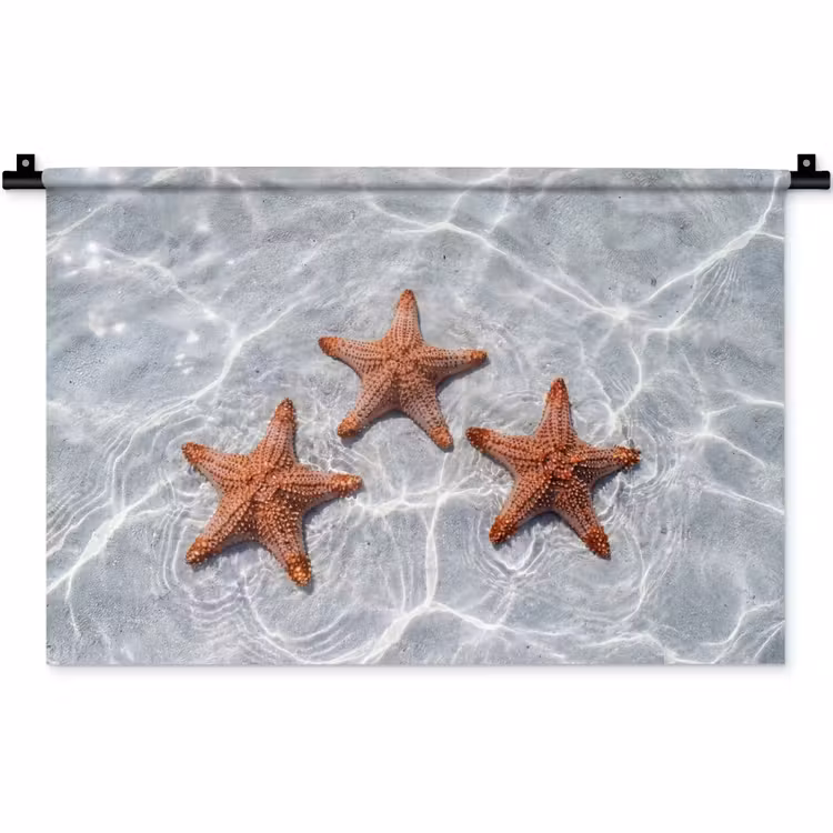 Zeesterren - Water - Helder Wandkleed katoen klein -zz3d