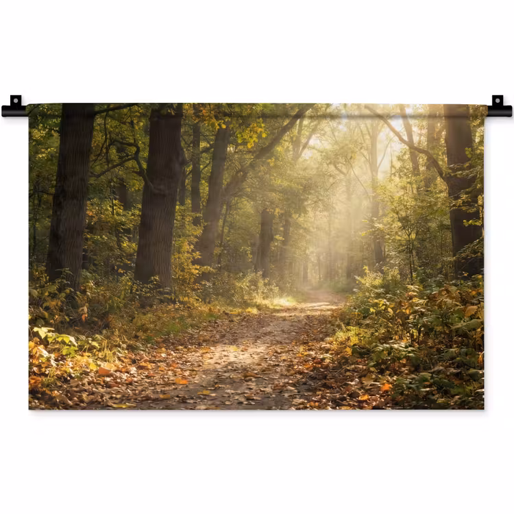 Zonlicht - Bospad - Bomen Wandkleed katoen klein -zz3d