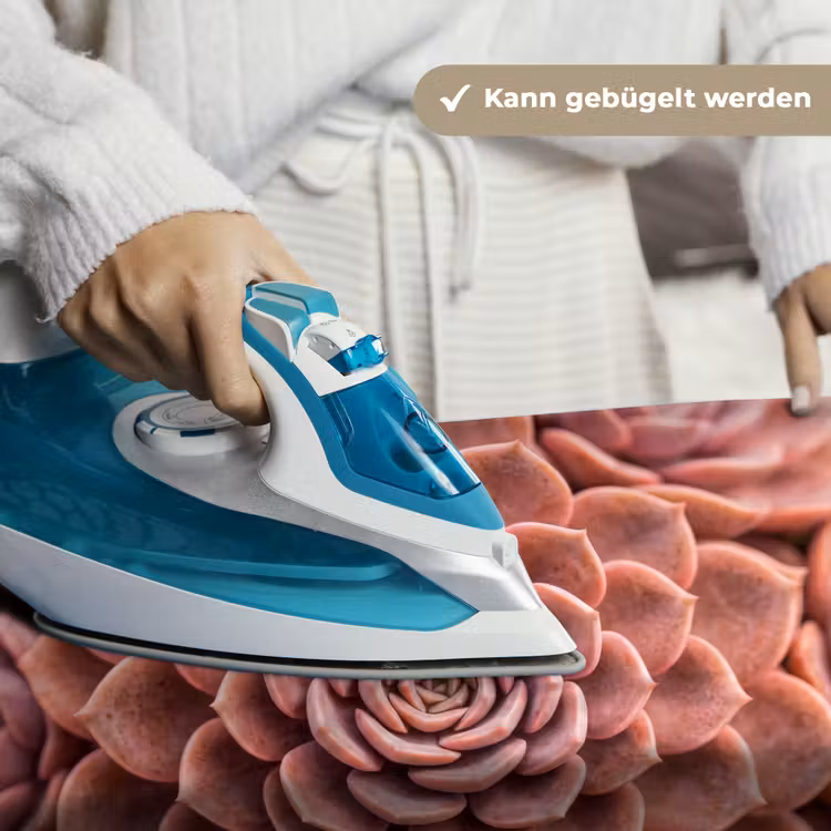 Vetplant - Organisch - Roze Wandkleed katoen klein -tsfeer9_DE