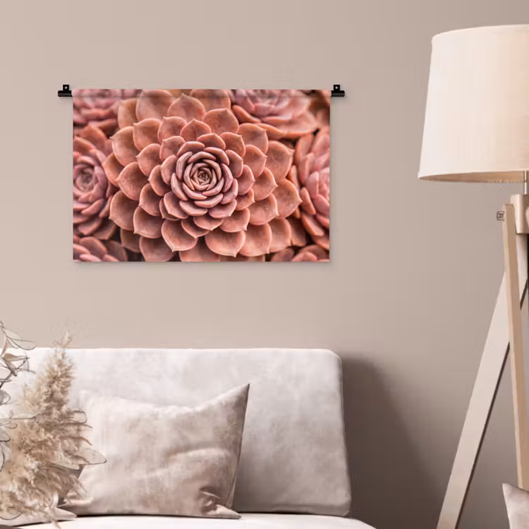 Vetplant - Organisch - Roze Wandkleed katoen klein -sfeer4