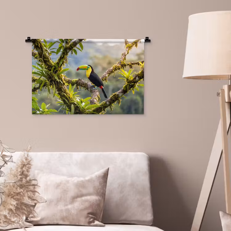 Toekan - Jungle - Natuur - Kleurrijk Wandkleed katoen klein -sfeer4