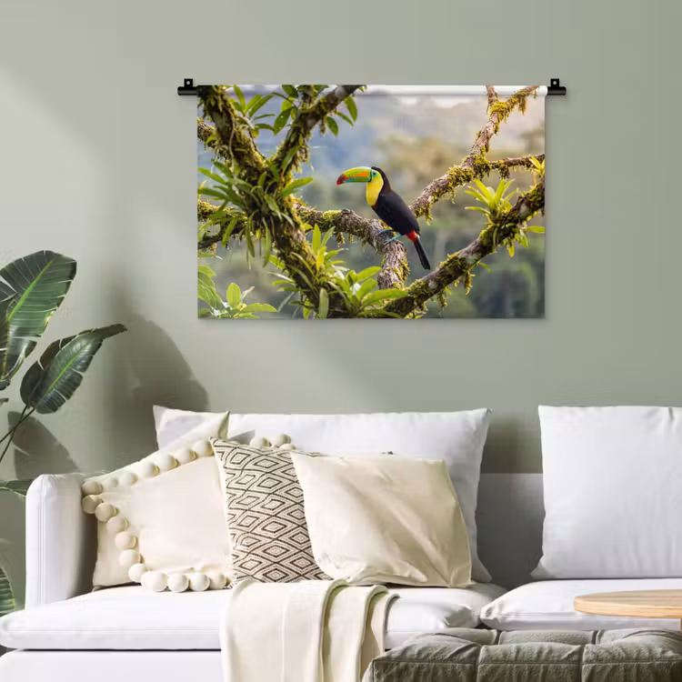 Toekan - Jungle - Natuur - Kleurrijk Wandkleed katoen klein -sfeer7