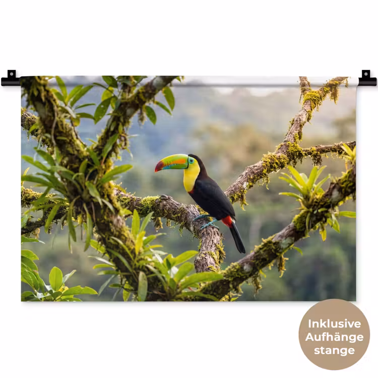 Toekan - Jungle - Natuur - Kleurrijk Wandkleed katoen klein -t3d_DE