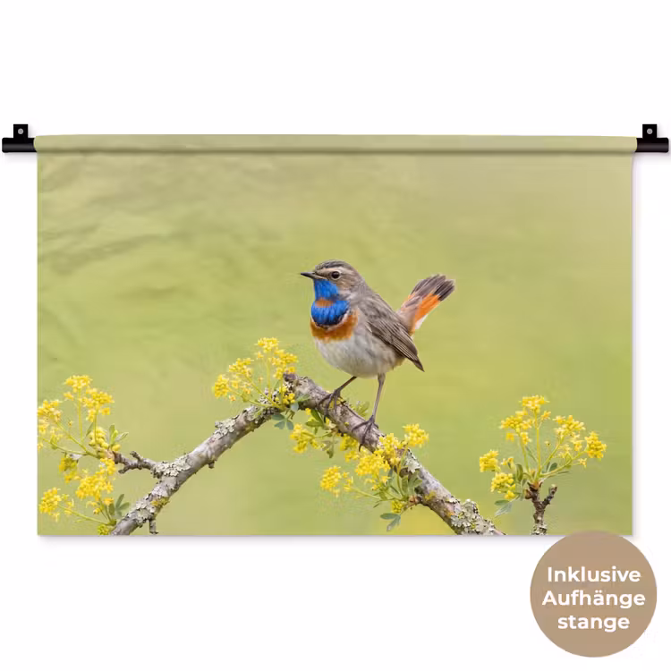 Vogel - Tak - Natuur - Kleurrijk Wandkleed katoen klein -t3d_DE