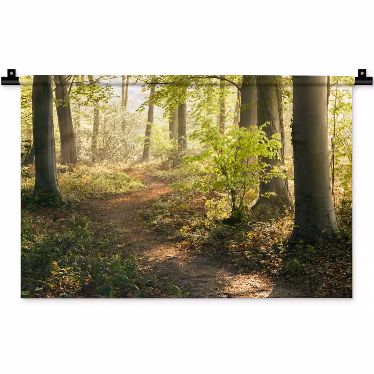 Bos - Bomen - Pad - Zon - Planten - Bladeren - Natuur Wandkleed katoen klein -zz3d