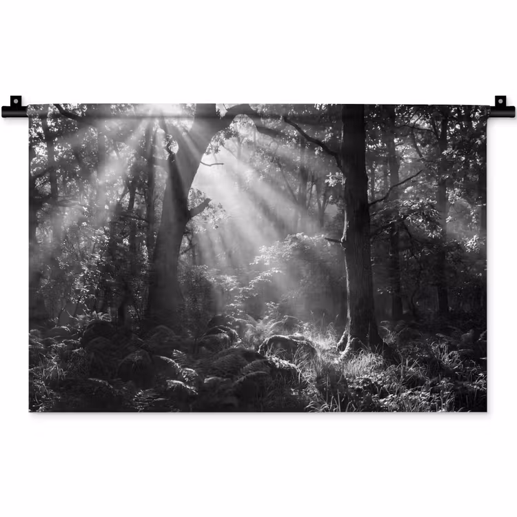 Bos - Lichtstralen - Natuur - Zwart-wit Wandkleed katoen klein -zz3d