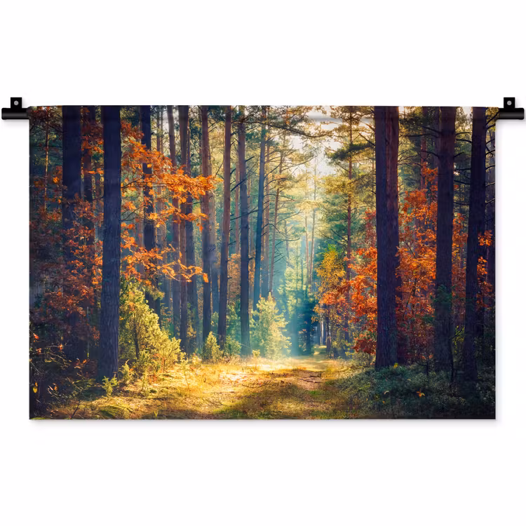 Bos - Zon - Natuur - Herfst Wandkleed katoen klein -zz3d