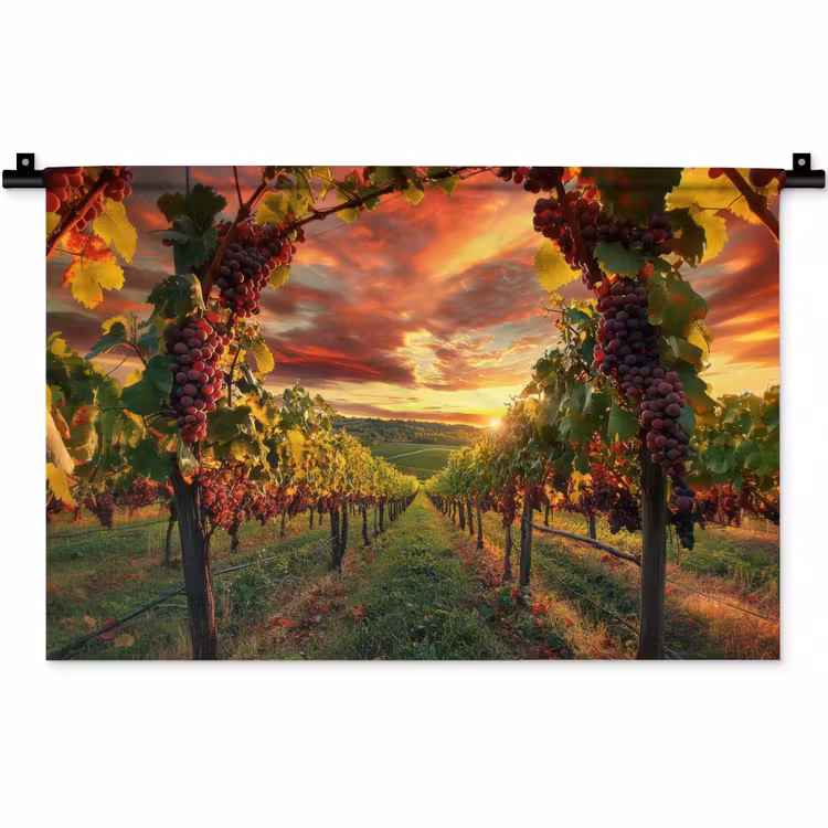 Wijngaard - Druiven - Zonsondergang Wandkleed katoen klein -zz3d