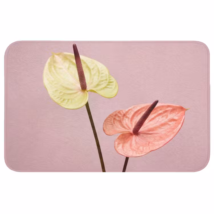 Bloemen - Anthuriums - Geel - Roze WCmat middel -3d