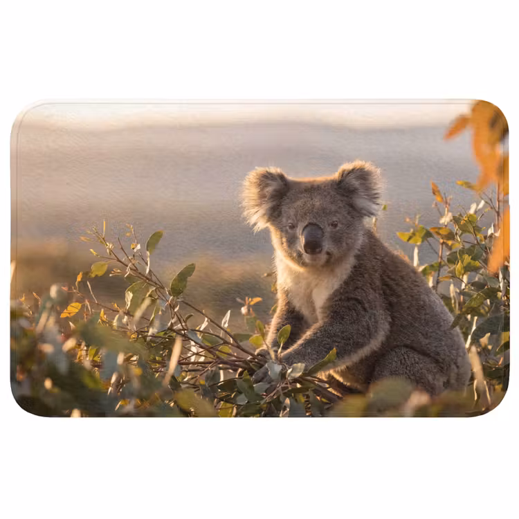 Koala - Bladeren - Ochtendlicht WCmat middel -3d