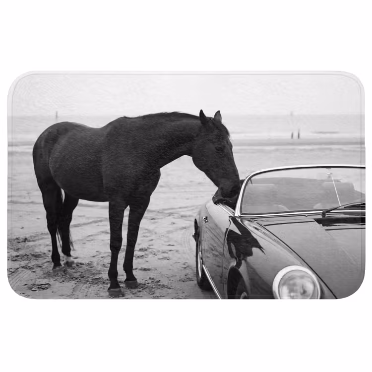 Paard - Auto - Zwart - Wit WCmat middel -3d