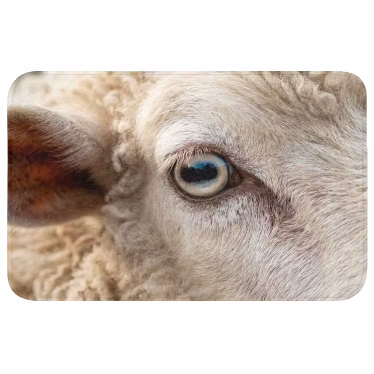 Schaap - Oog - Wit WCmat middel -3d