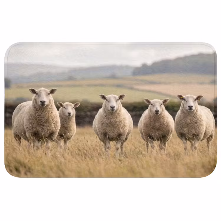 Schapen - Weidenlandschap - Heuvels WCmat middel -3d