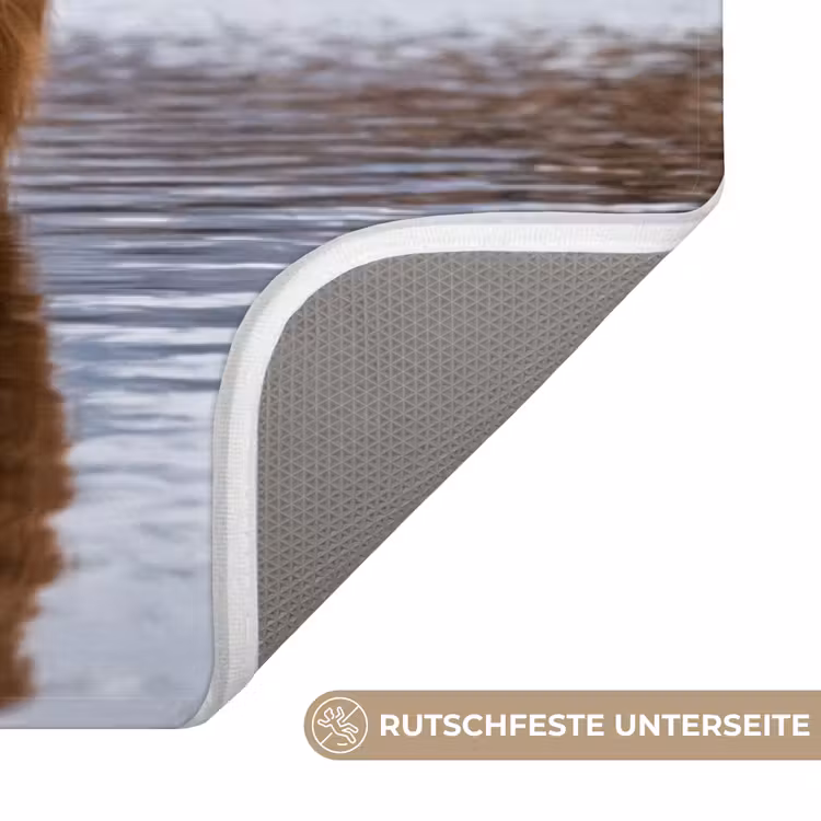 Schotse hooglander - Bruin - Water WCmat middel -USP_AntislipDE
