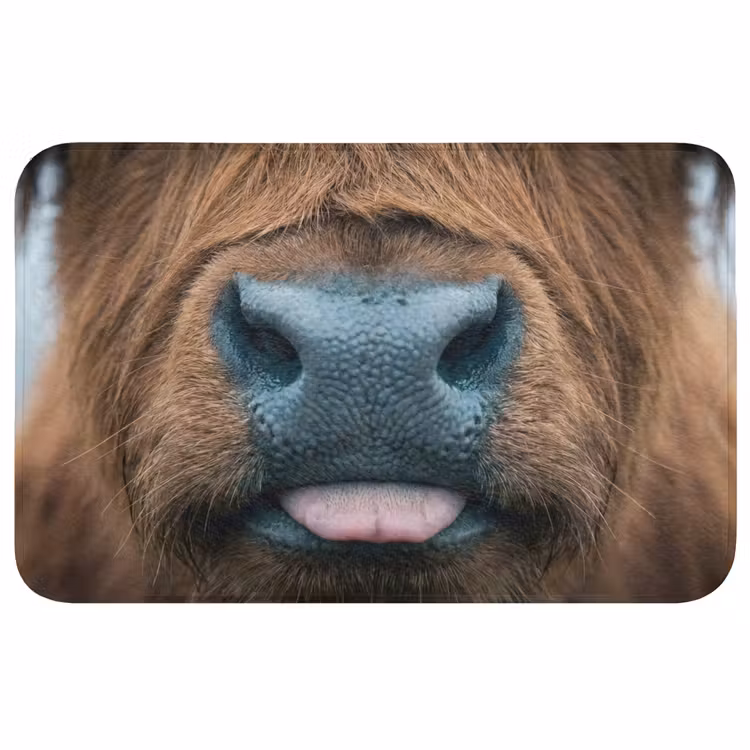 Schotse hooglander - Neus - Bruin WCmat middel -3d