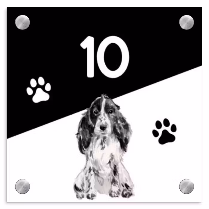 Namensschild Haustür Quadratisch - Schwarz und weiß - Haustier - Cocker Spaniel