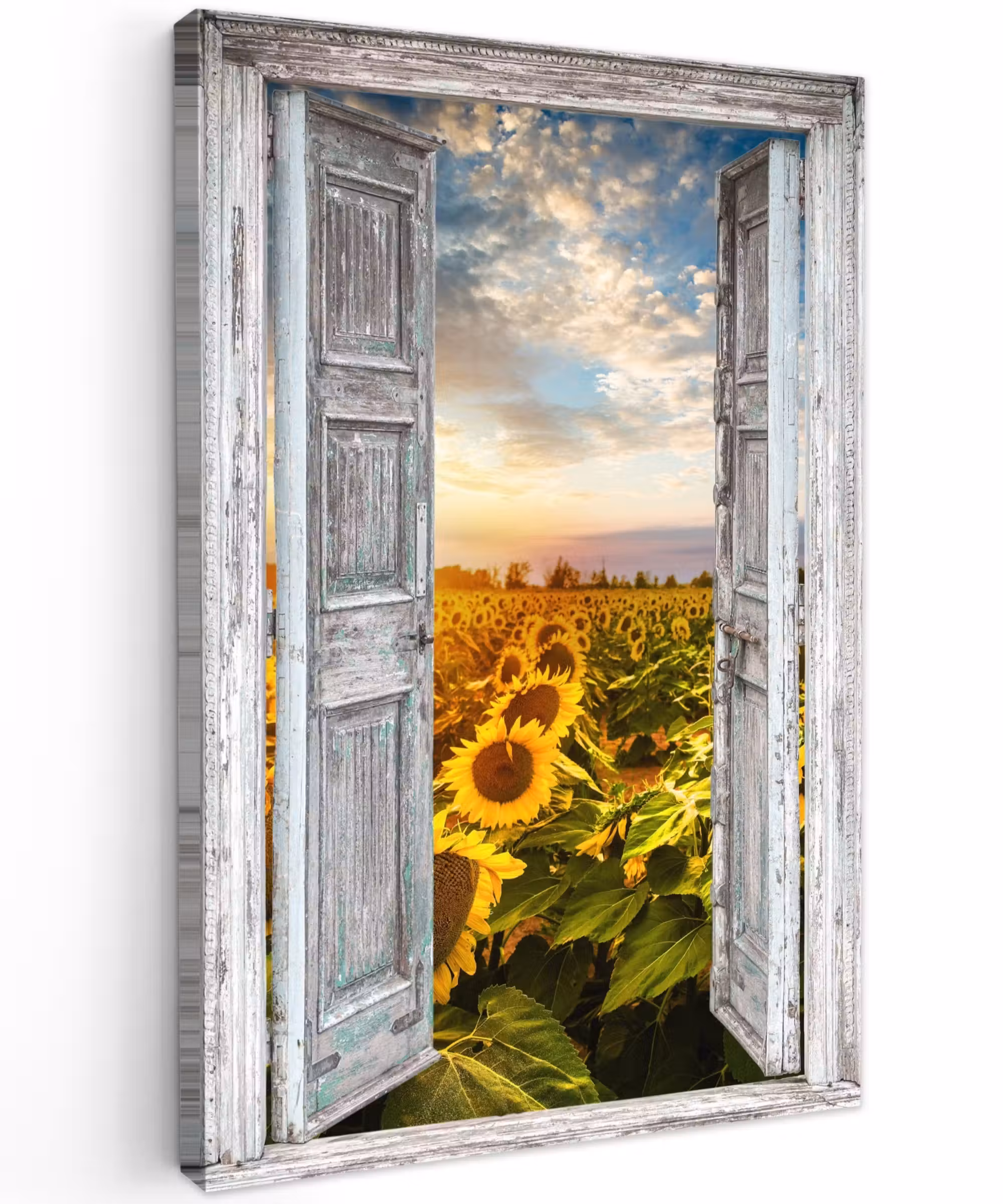 Outdoor Leinwand - Alte Türen zum Sonnenblumenfeld