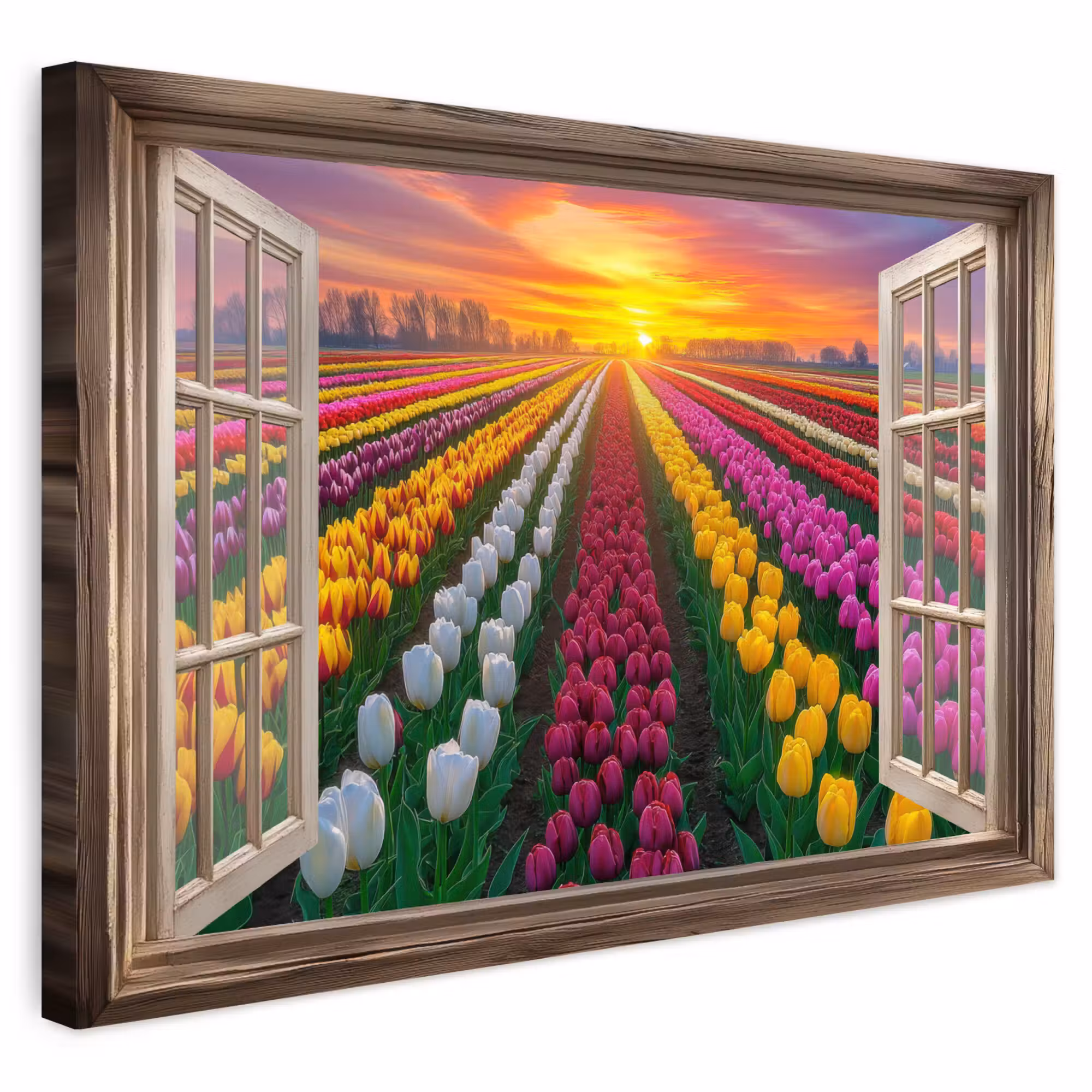 Outdoor Leinwand - Ansichten - Blumen - Tulpen - Farbenfroh - Sonnenuntergang