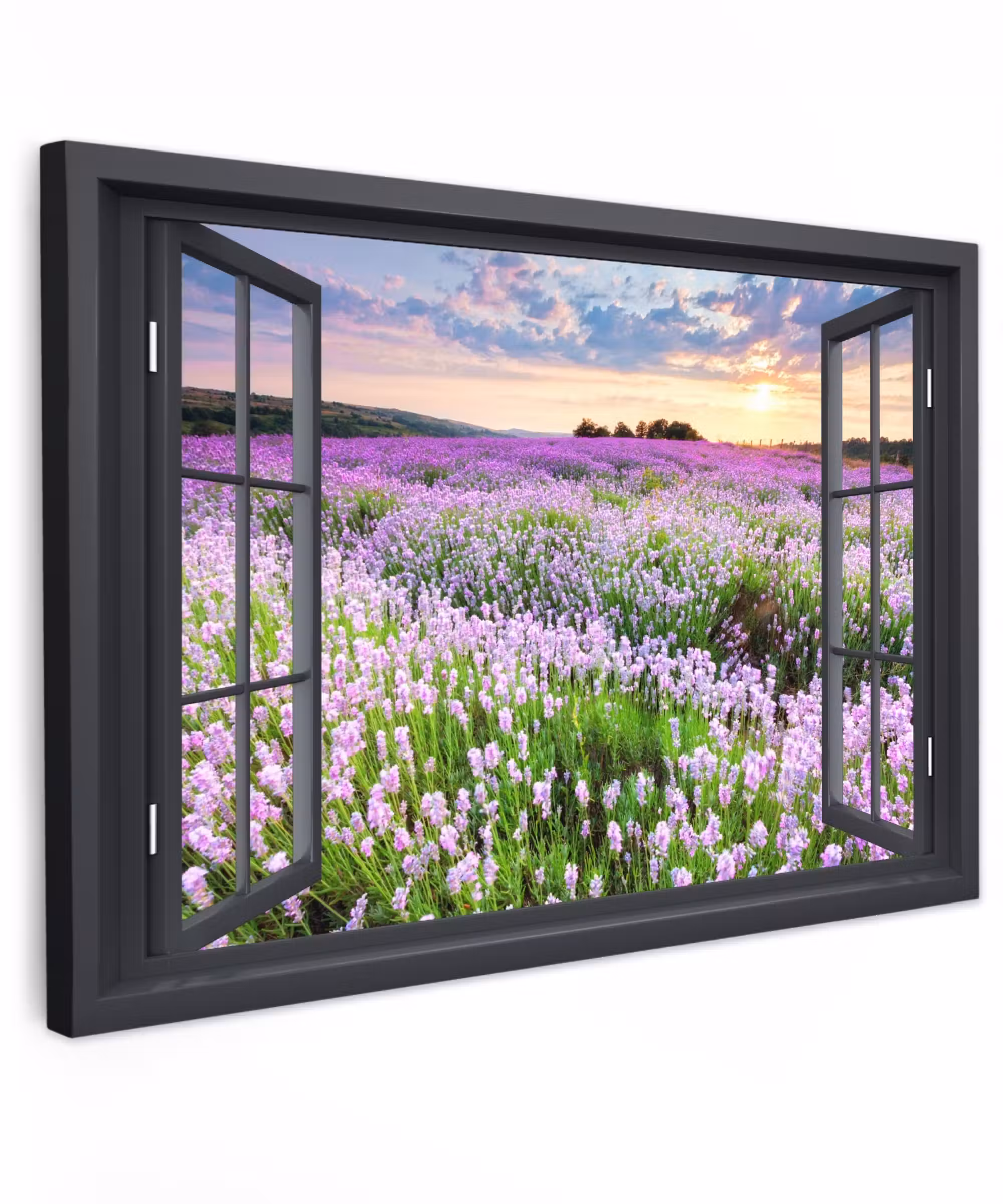 Outdoor Leinwand - Blick auf das Lavendelfeld bei Sonnenuntergang