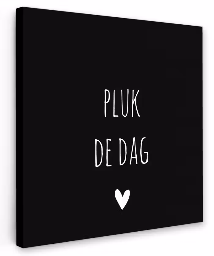 Carpe diem - Spreuken - Pluk de dag - Quotes Tuinposter op houten frame 2 cm dik klein -3d