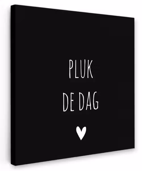 Carpe diem - Spreuken - Pluk de dag - Quotes Tuinposter op houten frame 2 cm dik klein -3d