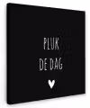 Carpe diem - Spreuken - Pluk de dag - Quotes Tuinposter op houten frame 2 cm dik klein -3d